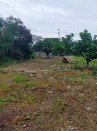 dijual-tanah-shm-luas-3000m2-lokasi-strategis-di-jenu-tuban-big-1