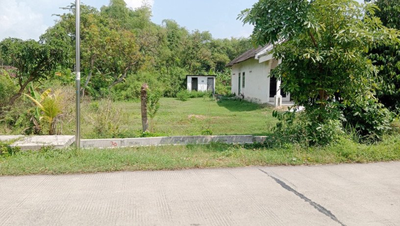 ijual-tanah-sumberrejo-bojonegoro-big-0