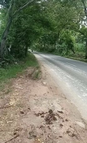 dijual-murah-tanah-gudang-nol-jalan-raya-akses-truk-tronton-merakurak-tuban-big-0