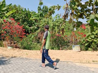 Dijual Tanah SHM Siap Bangun Lokasi Strategis di Sukowati, Kapas, Bojonegoro