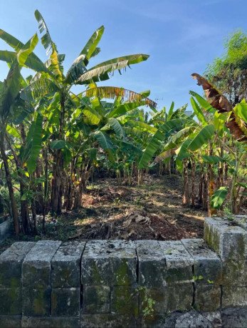 dijual-lahan-kosong-8x24-m-lokasi-strategis-di-bojonegoro-big-0