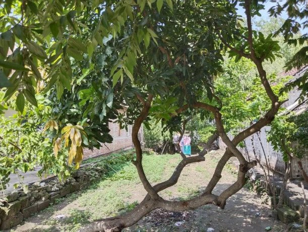 dijual-lahan-kosong-semambung-kanor-nol-jalan-raya-big-0