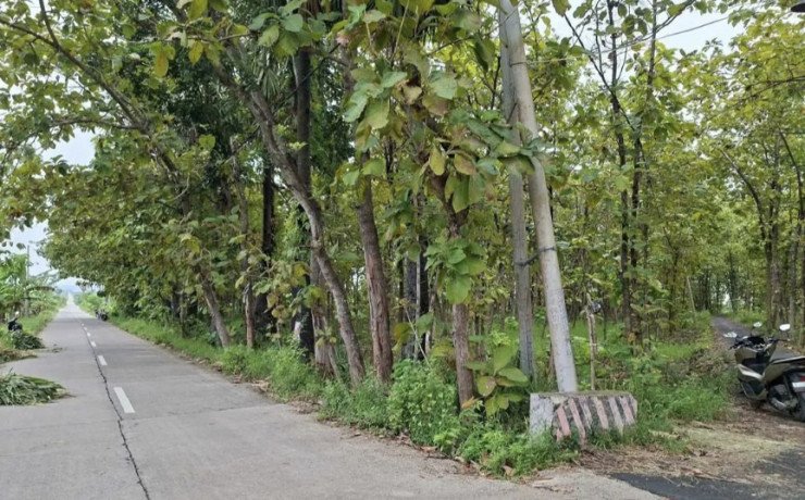 dijual-tanah-milik-pribadi-sambongrejo-semanding-tuban-big-0