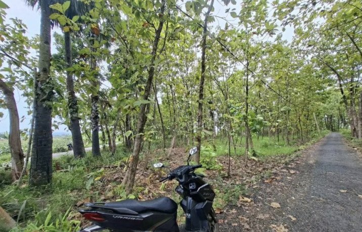dijual-tanah-milik-pribadi-sambongrejo-semanding-tuban-big-1
