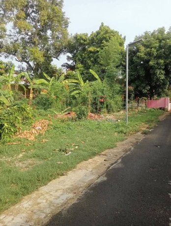 dijual-tanah-pekarangan-sendangharjo-tuban-kota-big-0