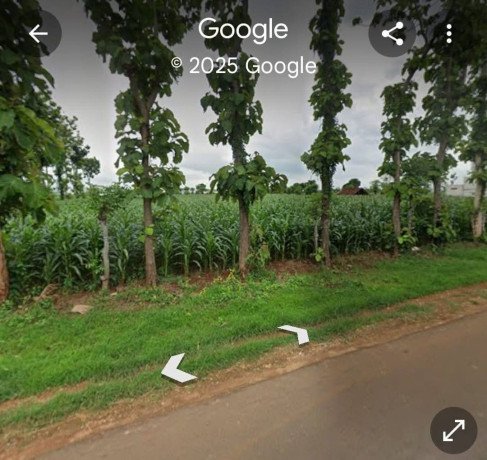 dijual-tanah-shm-kerek-tuban-big-0