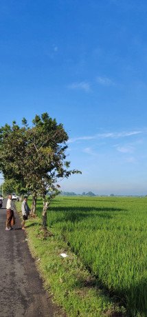 dijual-tanah-shm-3740-m2-plumpang-tuban-big-0