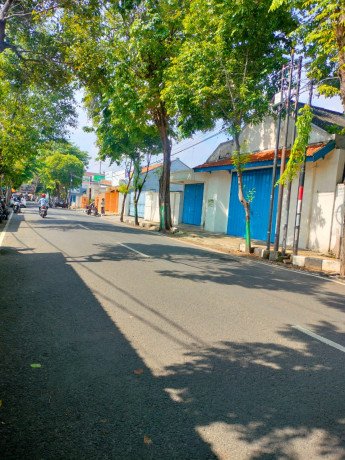 dijual-lahan-rumah-lawas-kokoh-luas-banget-timur-samudra-tuban-big-1