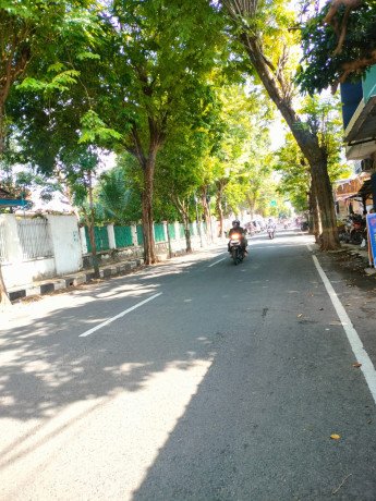 dijual-lahan-rumah-lawas-kokoh-luas-banget-timur-samudra-tuban-big-2