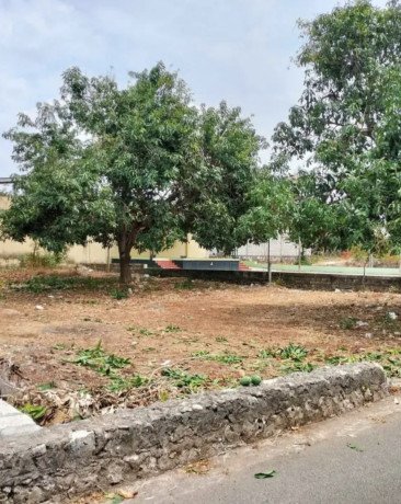 dijual-tanah-shm-di-samping-sman-1-tuban-big-1