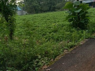 Dijual Tanah Strategis Tuban, Jawa Timur