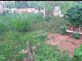 DIJUAL TANAH LOKASI EMAS JL. MANUNGGAL SELATAN, TUBAN