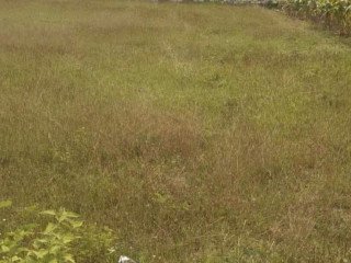 Dijual Tanah SHM Merakurak, Tuban