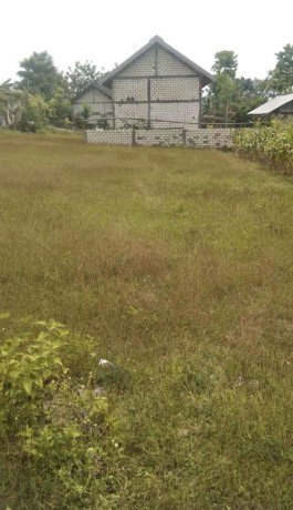 dijual-tanah-shm-merakurak-tuban-big-0