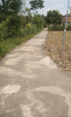 dijual-tanah-shm-merakurak-tuban-big-2