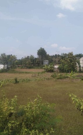 dijual-tanah-shm-merakurak-tuban-big-1