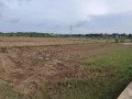 jual-sawah-strategis-2980-m2-di-tuban-small-1