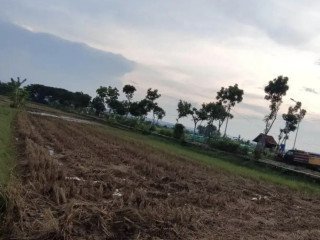 JUAL SAWAH STRATEGIS 2.980 m² di TUBAN