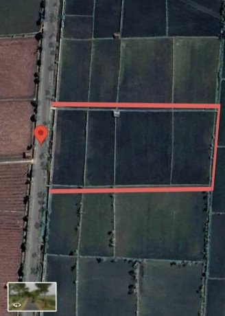 jual-sawah-strategis-2980-m2-di-tuban-big-2