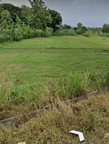 dijual-tanah-strategis-pinggir-jalan-raya-kasiman-bojonegoro-big-0