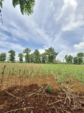 dijual-tanahtegal-merakurak-tuban-big-0