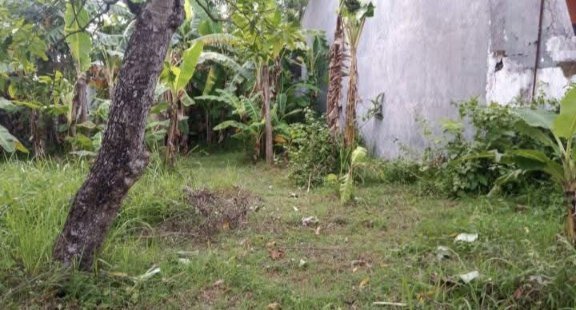 dijual-tanah-perumahan-shm-redreyeng-ngumpak-dalem-big-1