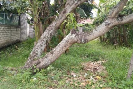 dijual-tanah-perumahan-shm-redreyeng-ngumpak-dalem-big-0