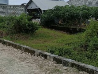 Dijual Tanah Strategis Pinggir Jalan Raya Wangun, Palang, Tuban
