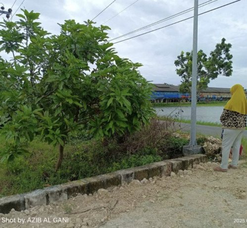 dijual-tanah-strategis-pinggir-jalan-raya-wangun-palang-tuban-big-2