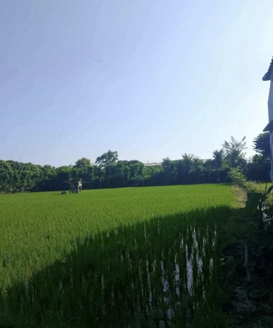 dijual-tanahsawah-lokasi-strategis-di-perbon-tuban-kota-big-0