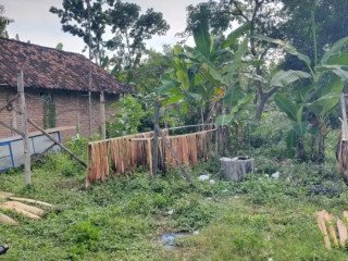 Dijual Cepat Tanah Pekarangan Siap Bangun Tanjungharjo, Kapas, Bojonegoro