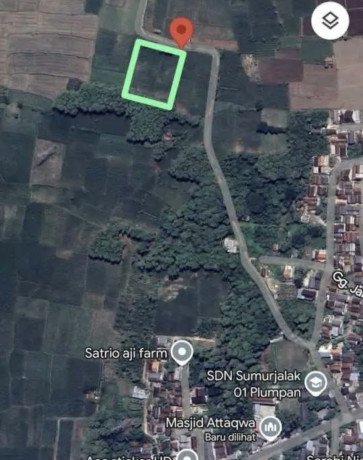 dijual-sawah-murah-plumpang-tuban-big-1