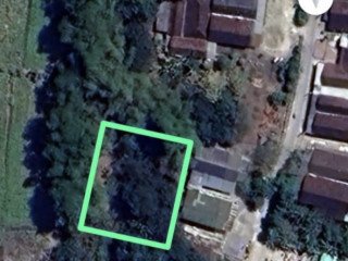 Dijual Tanah Luas di Jatiblimbing, Dander Bojonegoro