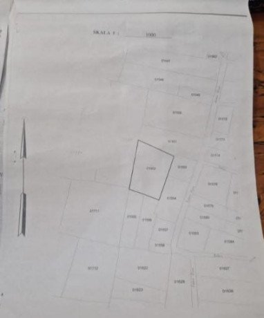 dijual-tanah-luas-di-jatiblimbing-dander-bojonegoro-big-1