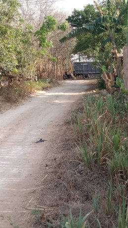 dijual-tanah-strategis-di-lamongan-pantura-bebas-banjir-big-3