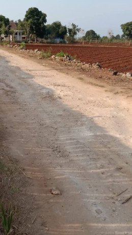 dijual-tanah-strategis-di-lamongan-pantura-bebas-banjir-big-2