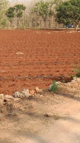 dijual-tanah-strategis-di-lamongan-pantura-bebas-banjir-big-1