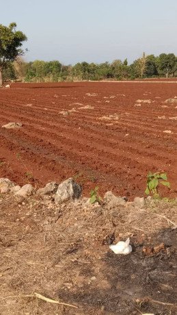 dijual-tanah-strategis-di-lamongan-pantura-bebas-banjir-big-0