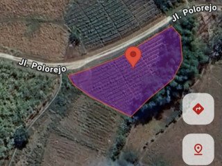 Dijual Sawah Produktif di Kedungadem, Bojonegoro