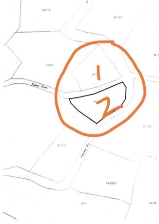 dijual-sawah-produktif-di-kedungadem-bojonegoro-big-1