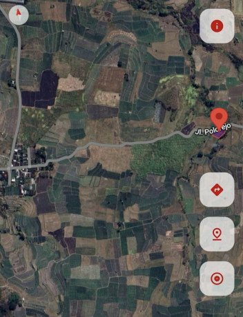 dijual-sawah-produktif-di-kedungadem-bojonegoro-big-2