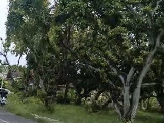 Dijual Tanah Strategis dekat lapangan Lokajaya, Perbon Tuban