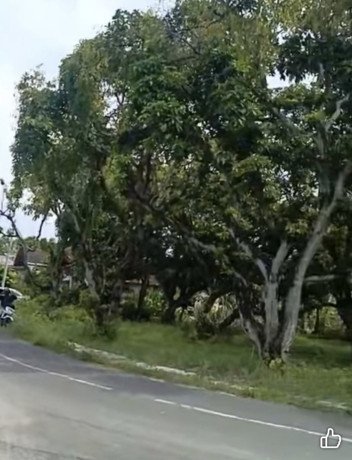 dijual-tanah-strategis-dekat-lapangan-lokajaya-perbon-tuban-big-0