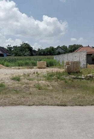 dijual-tanah-strategis-0-jalan-raya-penambangan-semanding-tuban-big-0