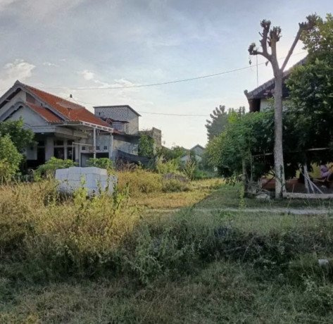 dijual-tanah-strategis-di-depan-pasar-jenu-big-1