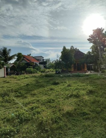 dijual-tanah-strategis-di-depan-pasar-jenu-big-0