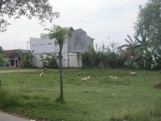 Tanah Dijual Sangat Strategis! Jl. Delima, Perbon Tuban