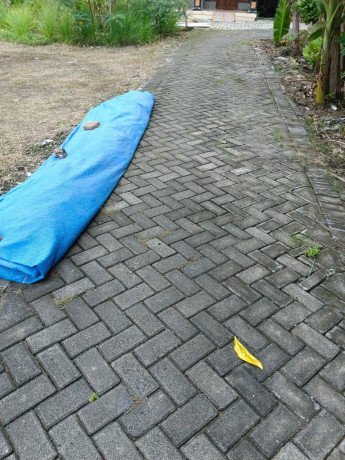 dijual-cepat-tanah-rumah-isi-kapas-bojonegoro-big-0