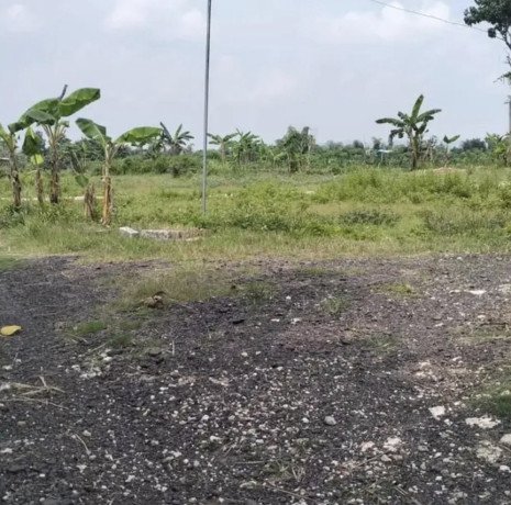 dijual-tanah-pribadi-penambangan-semanding-tuban-big-0