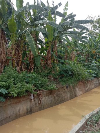 dijual-tanpa-perantara-tanah-kebonan-shm-sumuragung-tuban-big-2